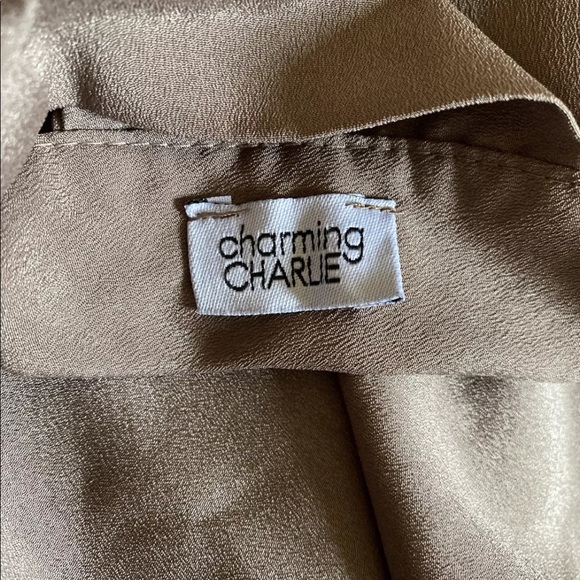 Charming Charlie small taupe shirt - Picture 3 of 5